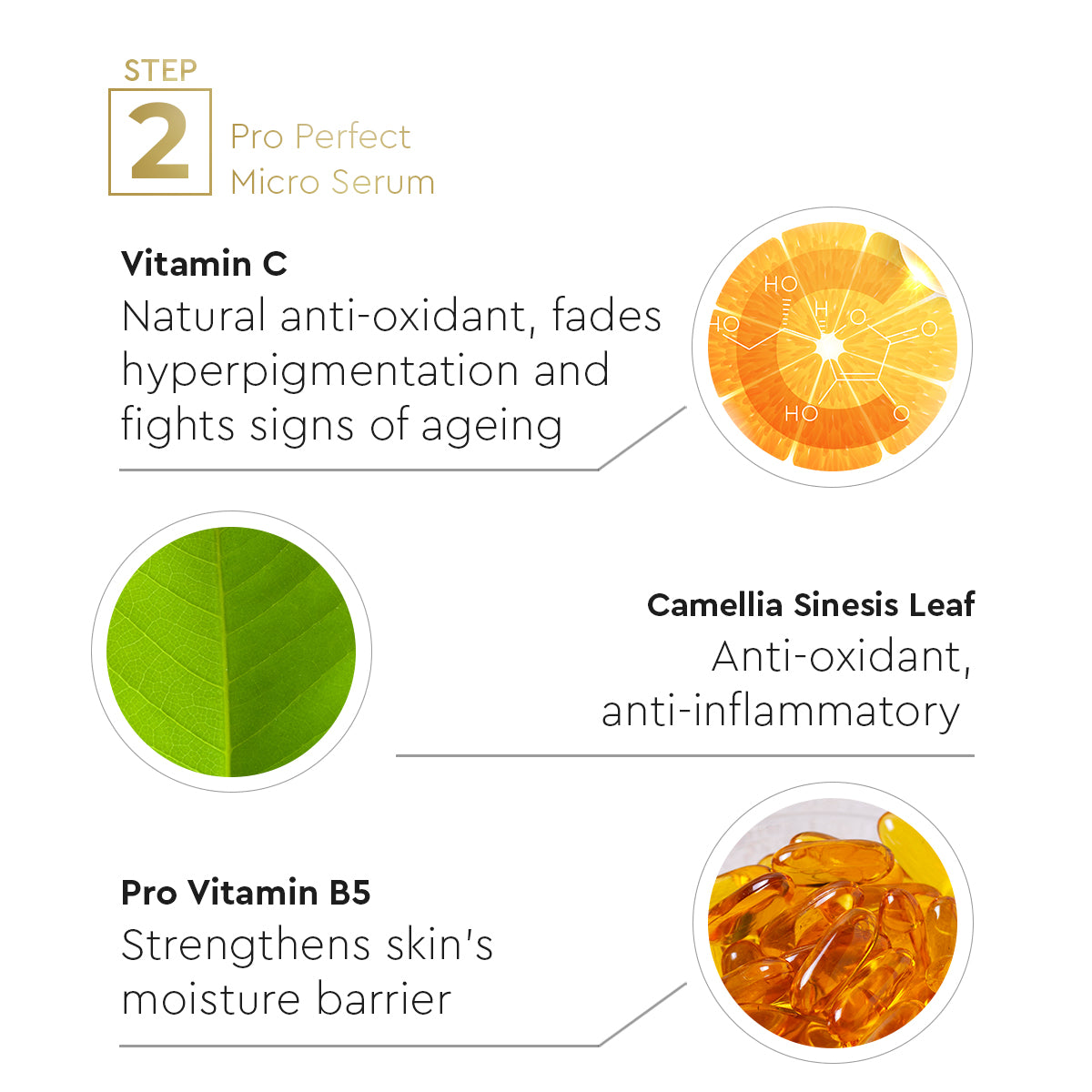 VLCC Anti Pigmentation Regime - Image 8 - Buy from Indicrest