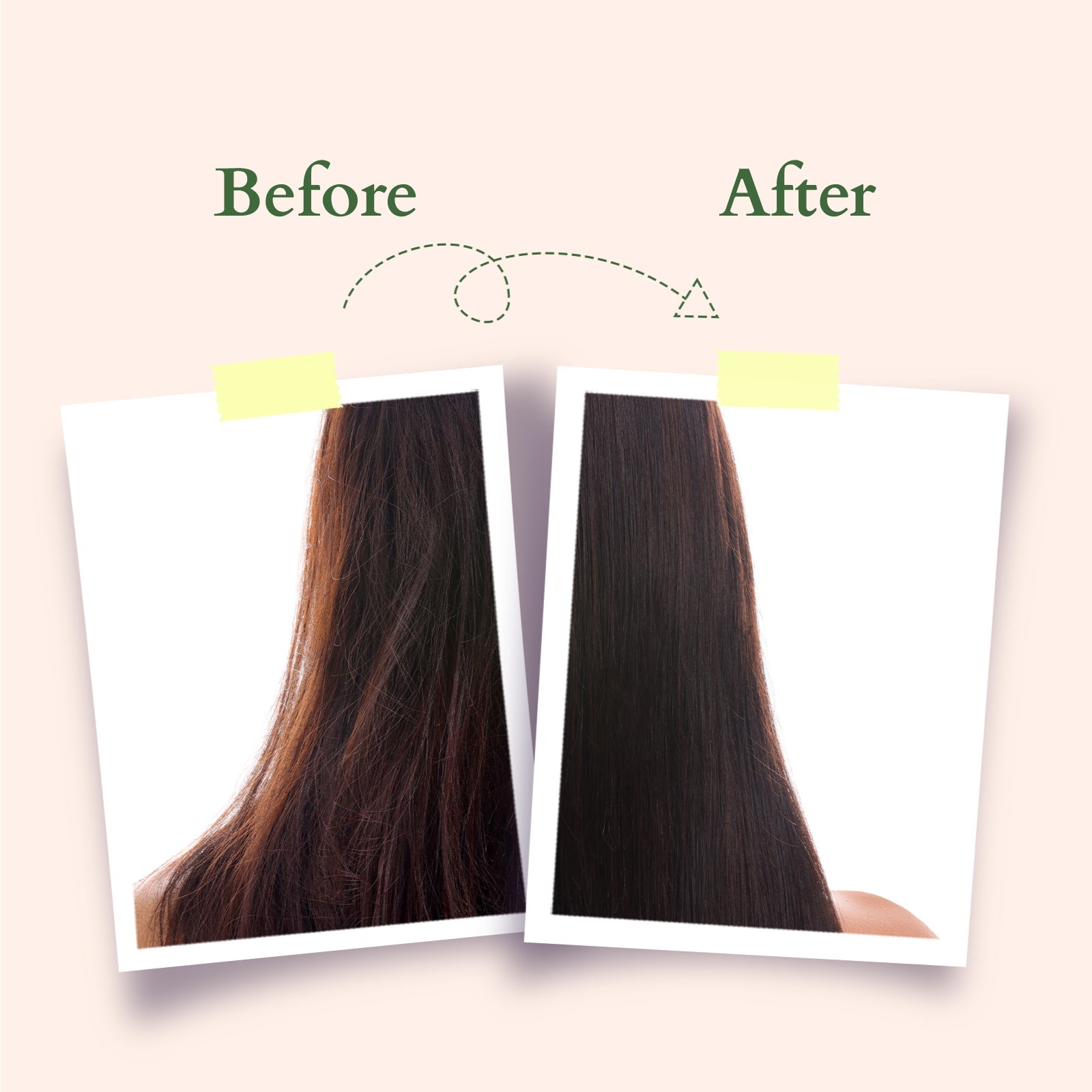 Lotus Herbals Organics+ Hair Fall Control Conditioner, 150g