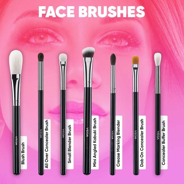 Vega Set of 27 Brushes - LK-27