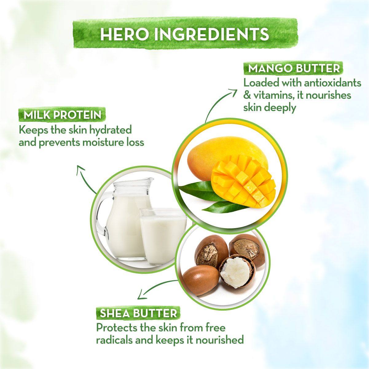 Mamaearth Major Mango Body Lotion For Kids with Mango Butter & Milk Protein, 400ml - Image 4 - Buy from Indicrest