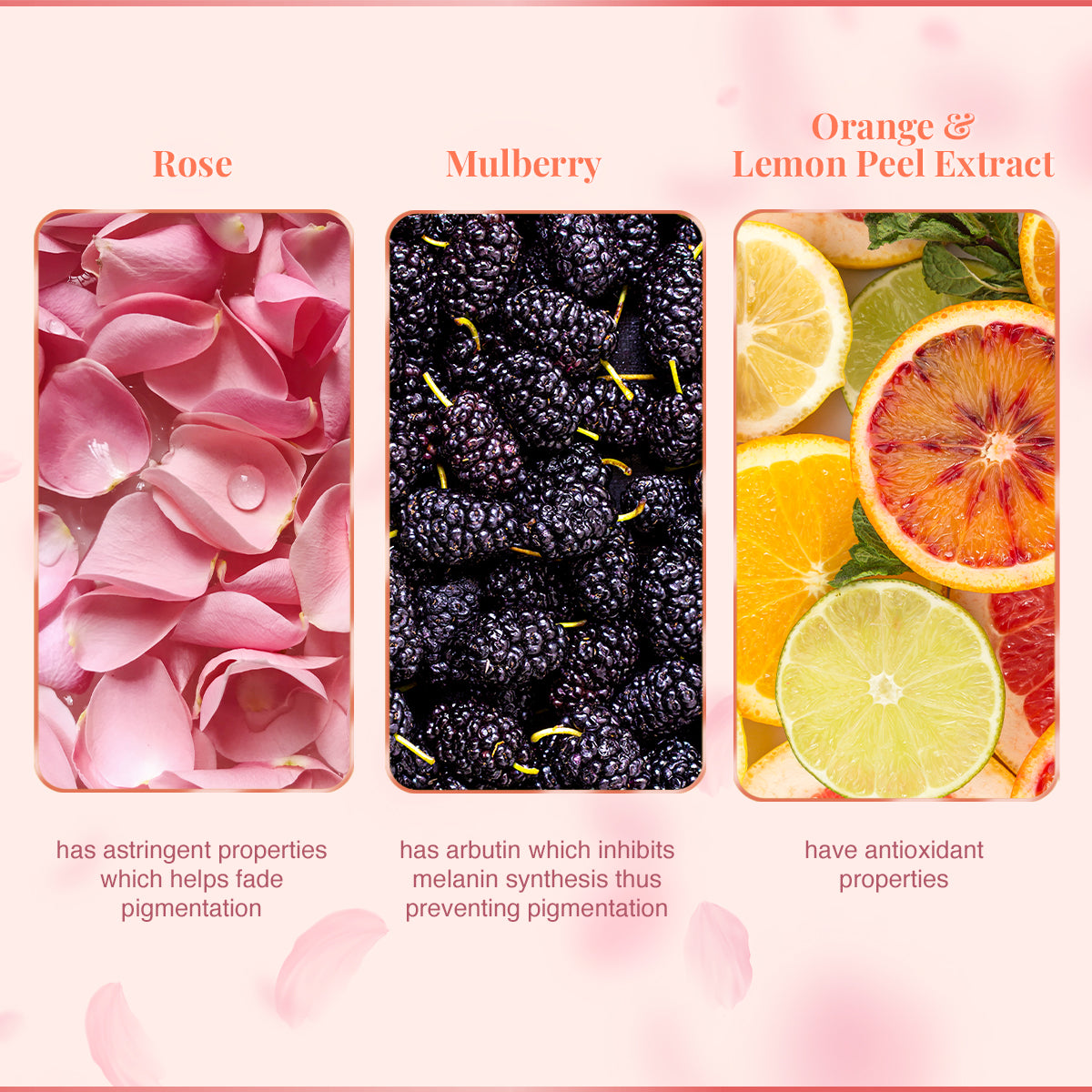VLCC Neem with Chamomile Tea Tree and Mulberry Rose Face Wash - Image 7 - Buy from Indicrest
