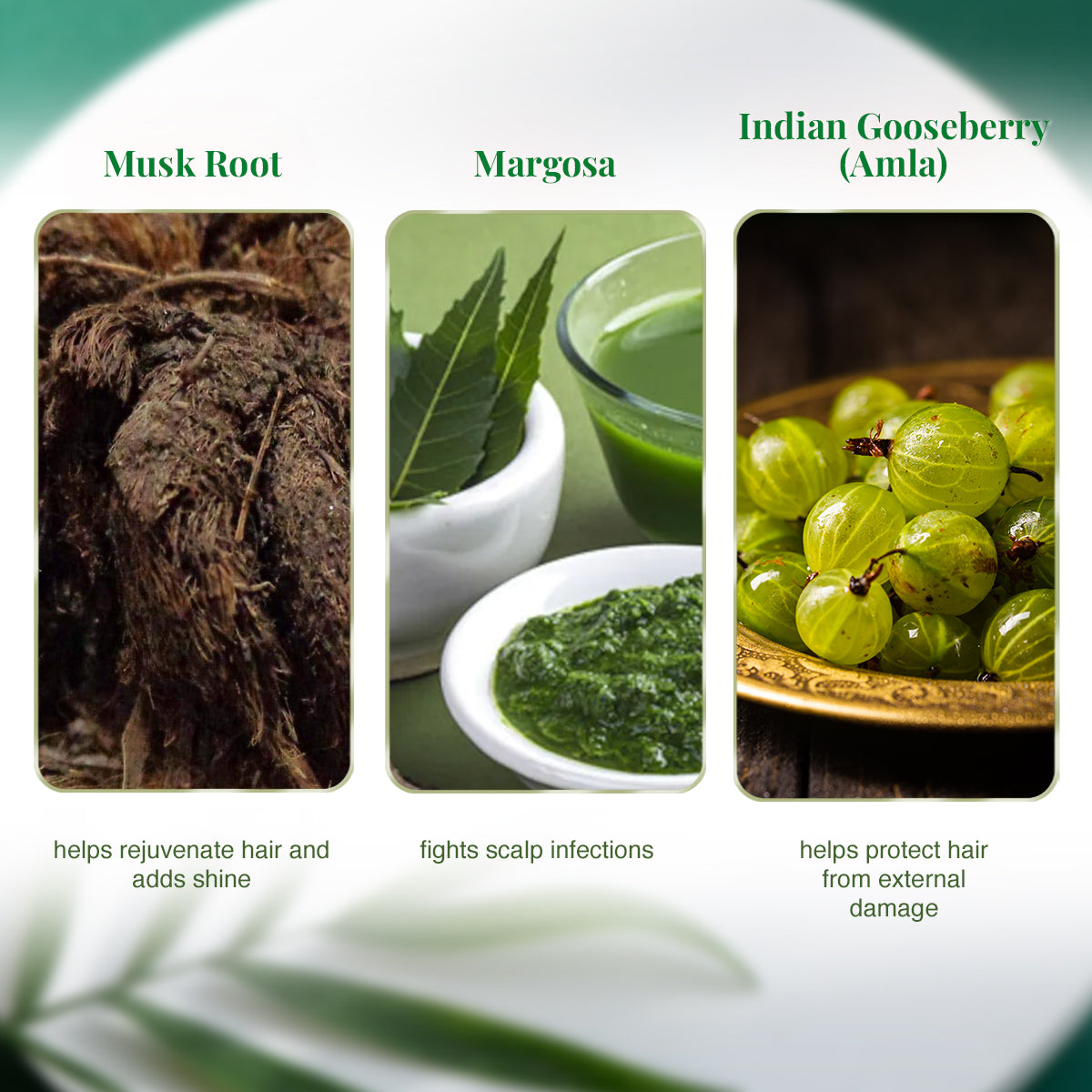 VLCC Natural and Herbal Henna - 120 g - Image 4 - Buy from Indicrest