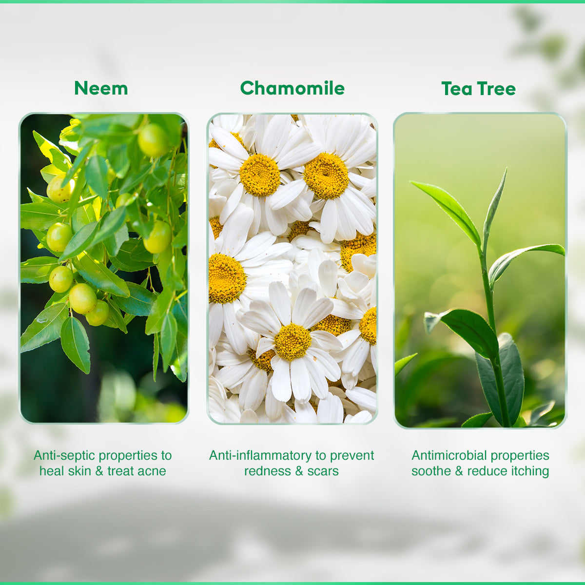 VLCC Neem Face Wash - 300 ml - Buy One Get One - Image 5 - Buy from Indicrest