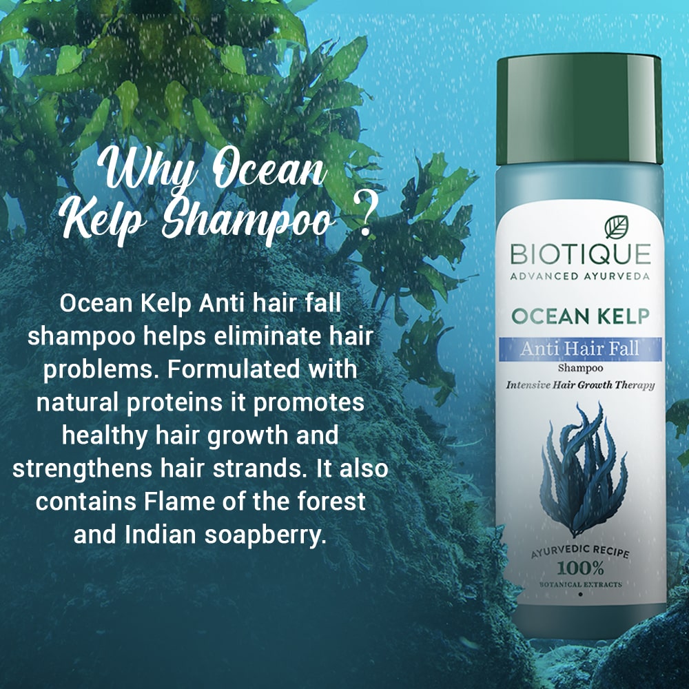 Biotique Ocean Kelp Anti Hair Fall Shampoo, 650ml - Image 5 - Buy from Indicrest