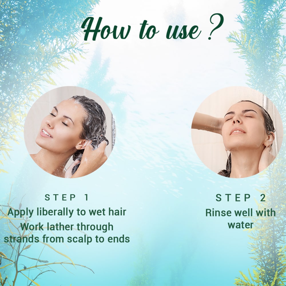 Biotique Ocean Kelp Anti Hair Fall Shampoo, 650ml - Image 7 - Buy from Indicrest