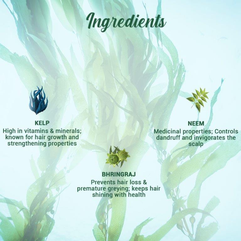 Biotique Ocean Kelp Anti Hair Fall Shampoo, 500ml - Image 4 - Buy from Indicrest
