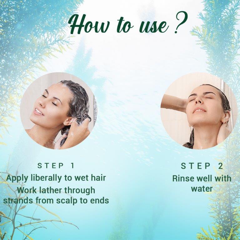 Biotique Ocean Kelp Anti Hair Fall Shampoo, 800ml - Image 4 - Buy from Indicrest