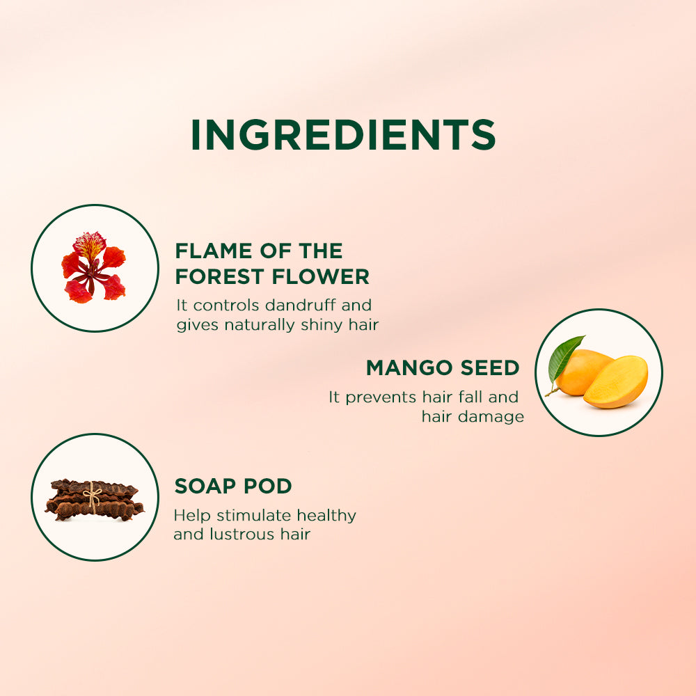 Biotique Flame Of The Forest Intense Repair Therapeutic Hair Oil, 120ml - Image 5 - Buy from Indicrest