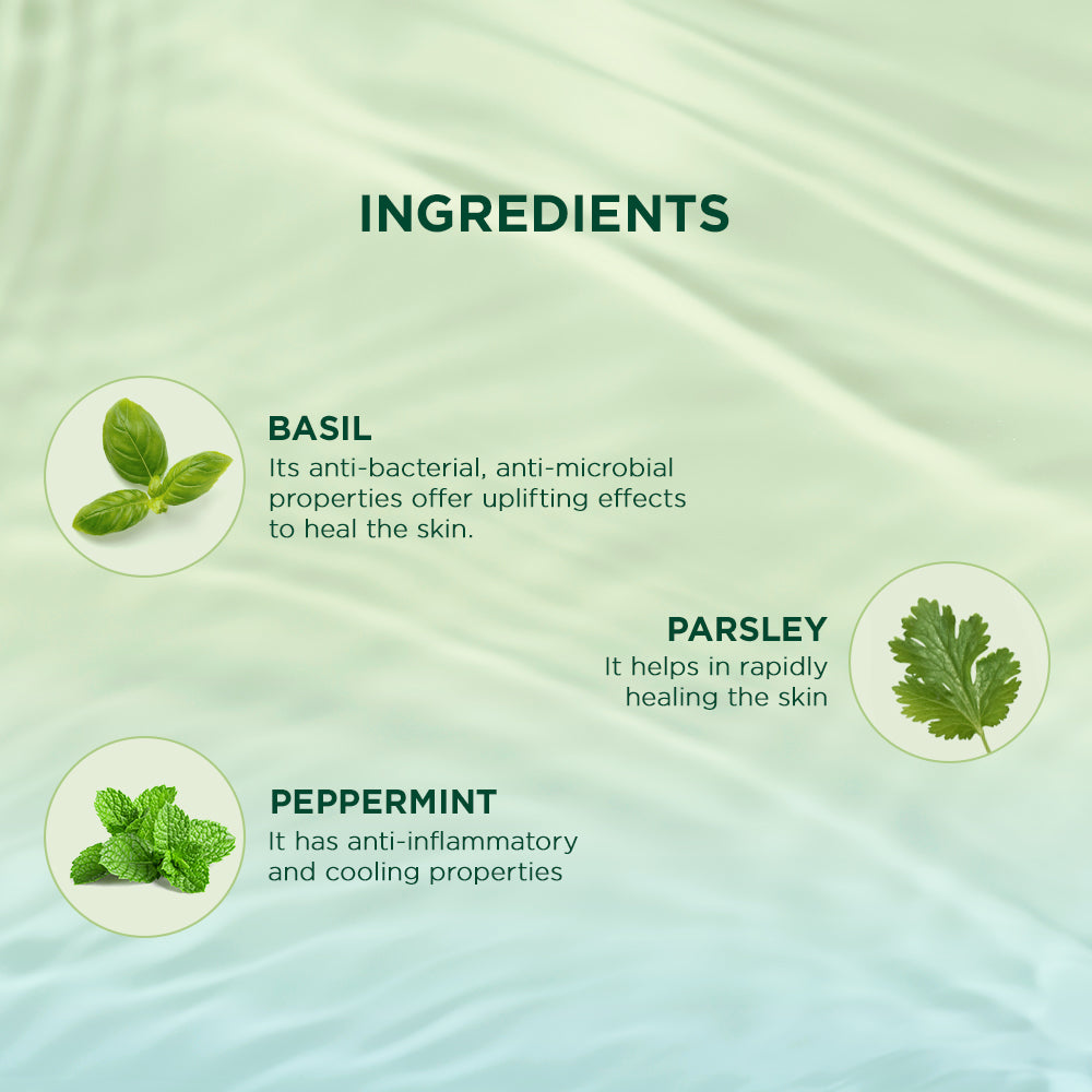Biotique Basil & Parsley Revitalizing Body Wash, 200ml - Image 5 - Buy from Indicrest