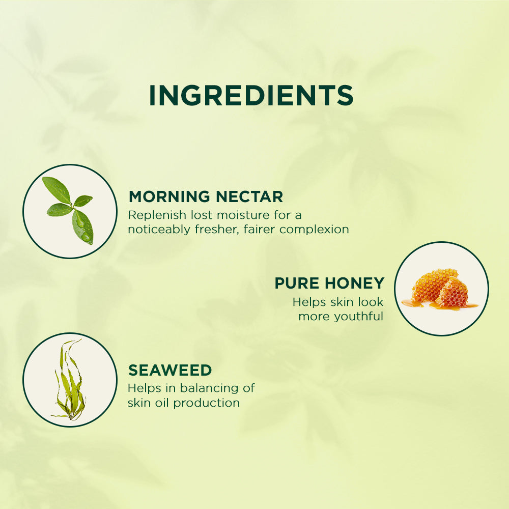 Biotique Morning Nectar Nourish & Hydrate Moisturizing Cream, 175g - Image 3 - Buy from Indicrest