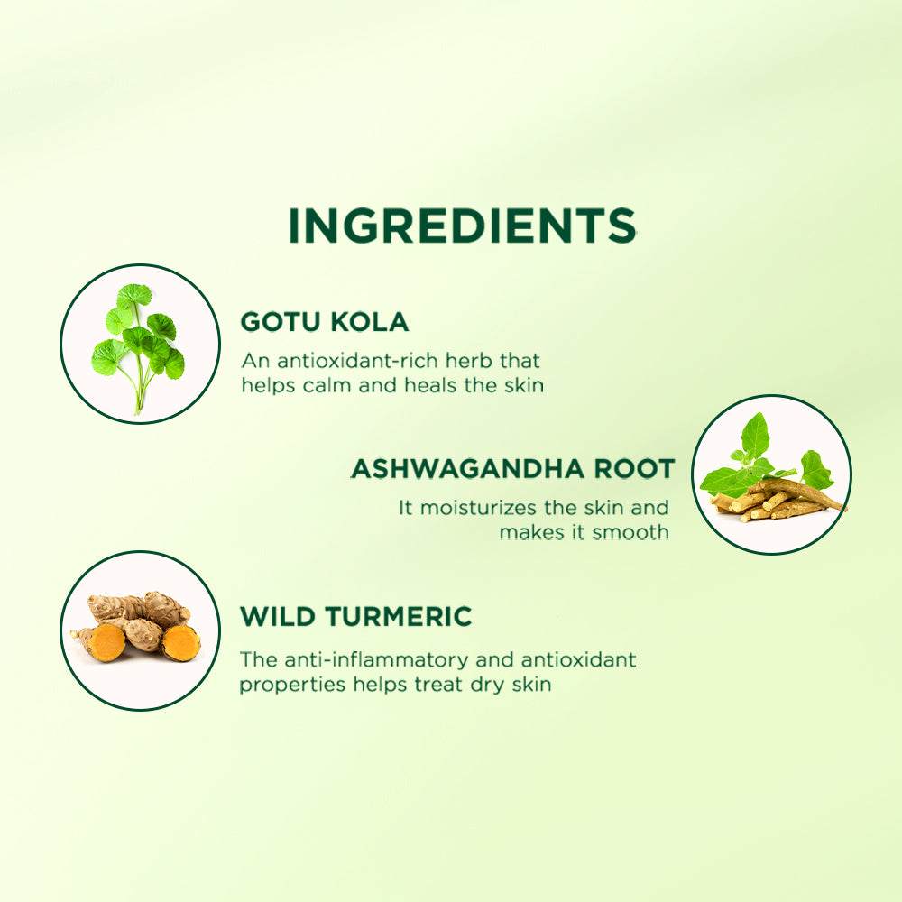 Biotique Gotu Kola Smooth Skin Body Lotion, 300ml - Image 5 - Buy from Indicrest