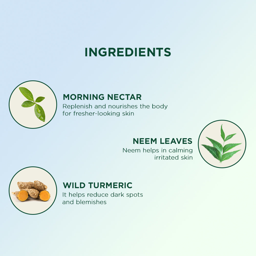 Biotique Morning Nectar Nourish & Hydrate Body Wash, 200ml - Image 4 - Buy from Indicrest