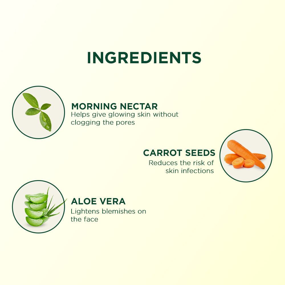 Biotique Morning Nectar Pore Tightening Purifying Toner, 120ml - Image 6 - Buy from Indicrest