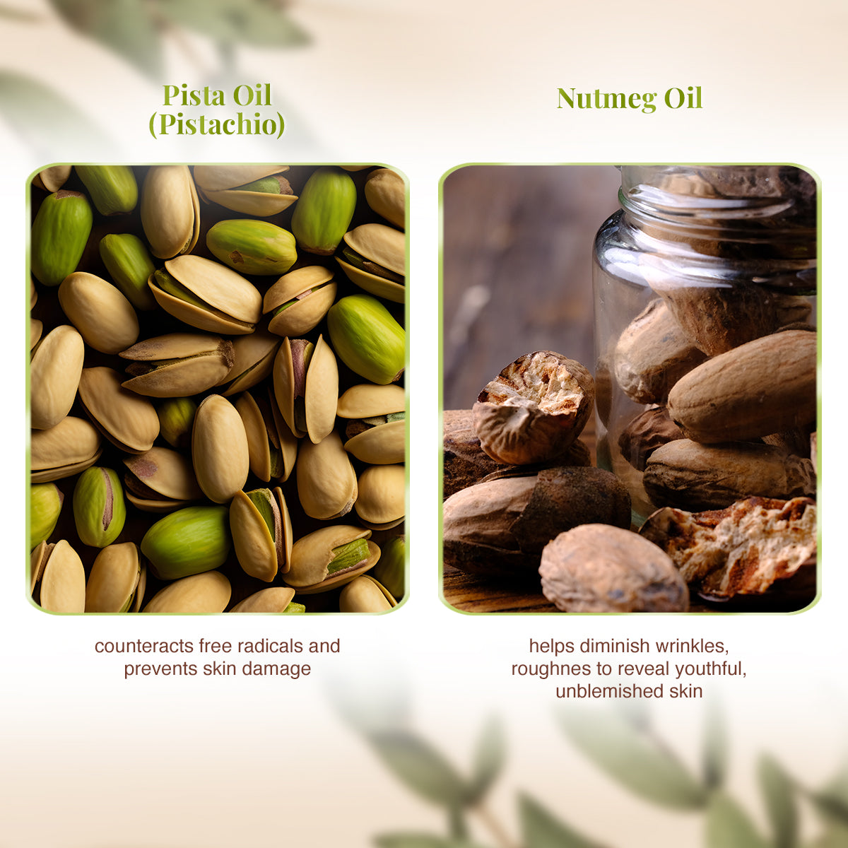 VLCC Pista Massage Cream and Mud Face Pack - Image 4 - Buy from Indicrest
