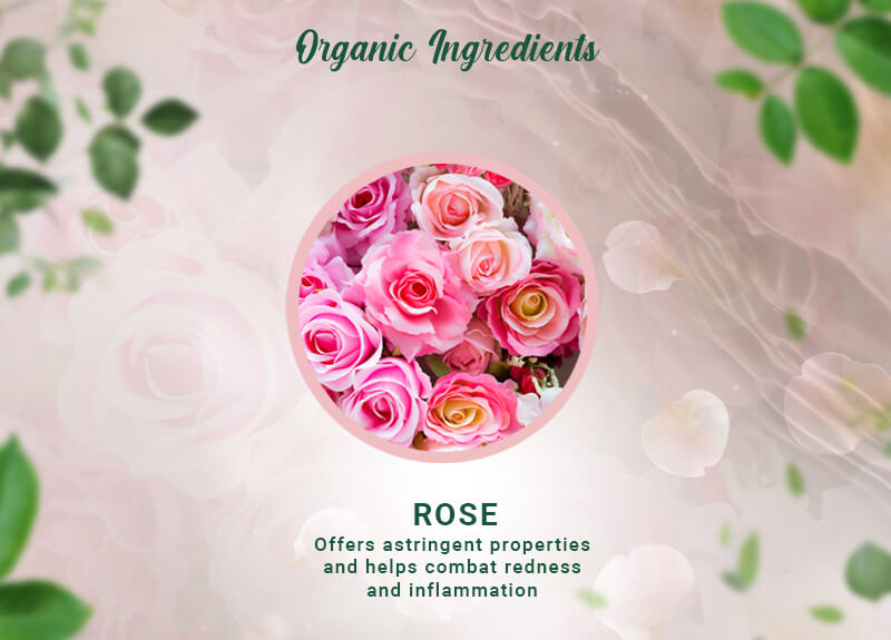 Biotique Rose N'ROSES Glow Shower Gel, 200ml - Image 5 - Buy from Indicrest