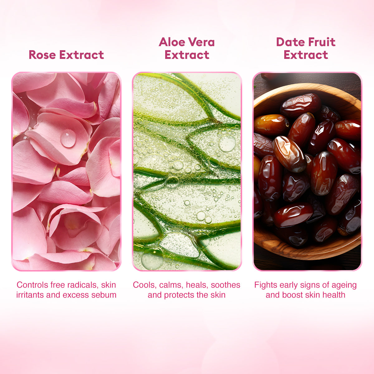 VLCC Rose Water Toner -100 ml - Image 5 - Buy from Indicrest