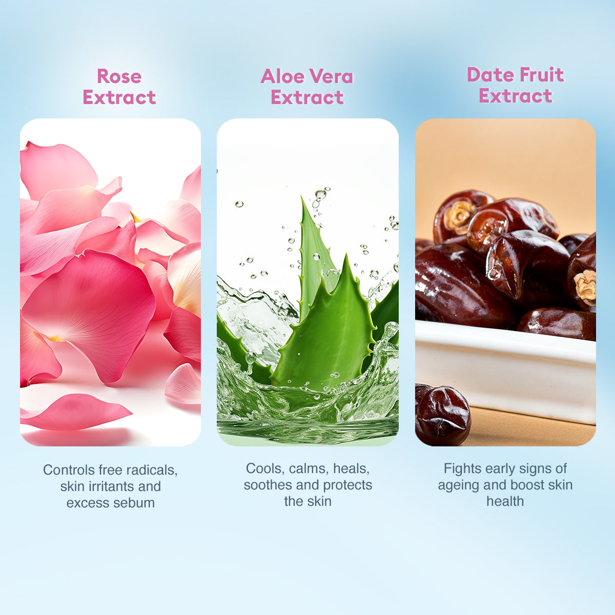 VLCC Rose Water Toner -500 ml - Image 4 - Buy from Indicrest
