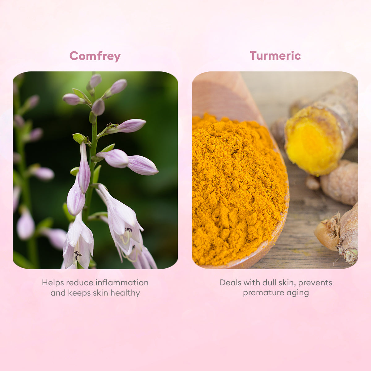 VLCC Skin Whitening Facial Kit - 25 g - Image 5 - Buy from Indicrest