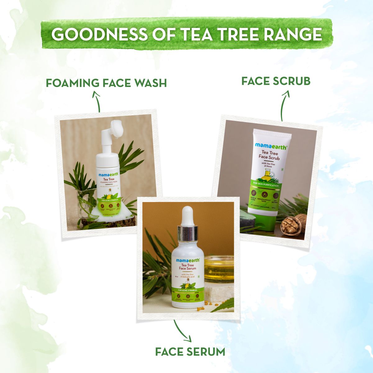 Mamaearth Tea Tree Body Wash With Tea Tree and Neem For Skin Purification, 300ml - Image 6 - Buy from Indicrest