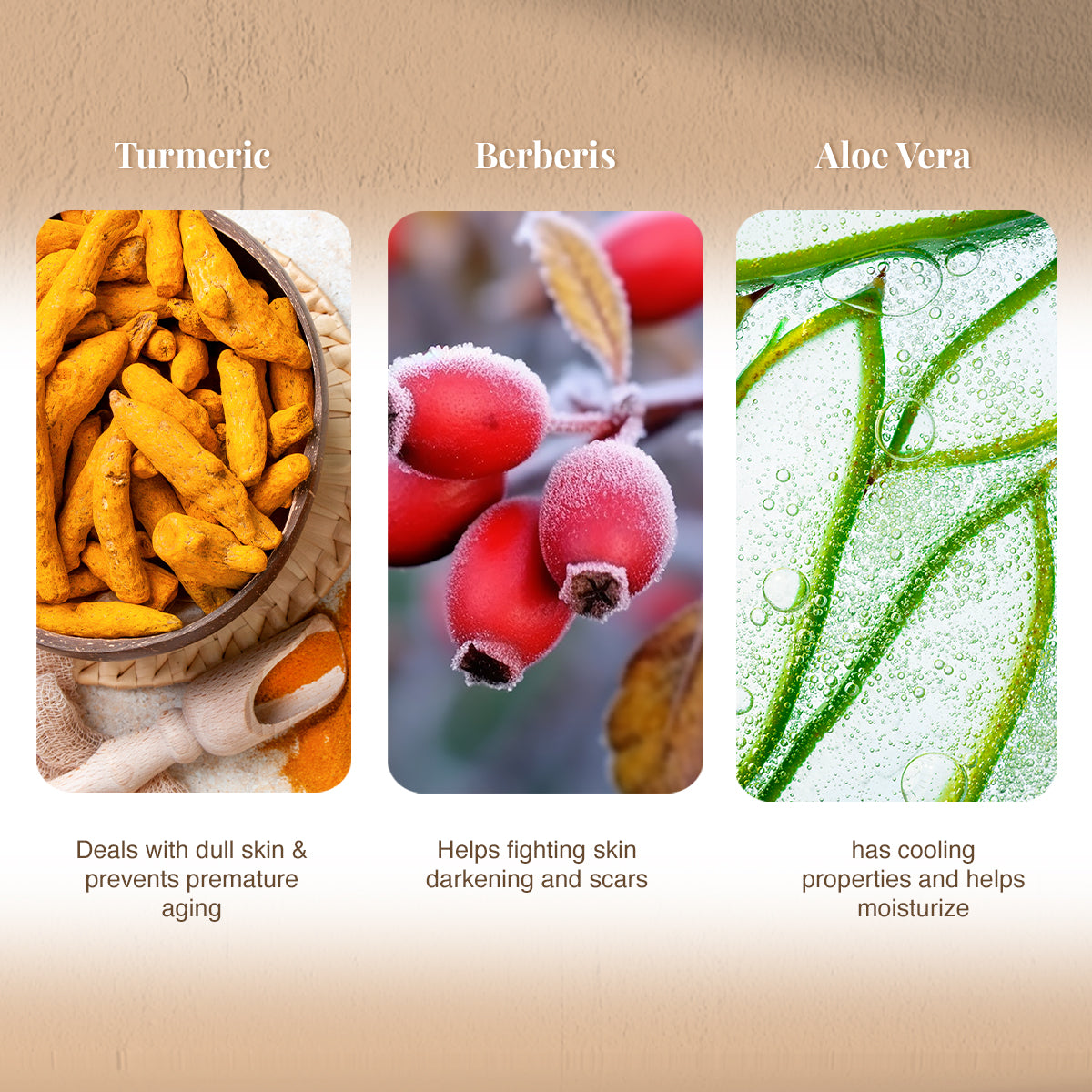 VLCC Anti Tan Skin Lightening and Turmeric and Berberris Face wash - Image 7 - Buy from Indicrest