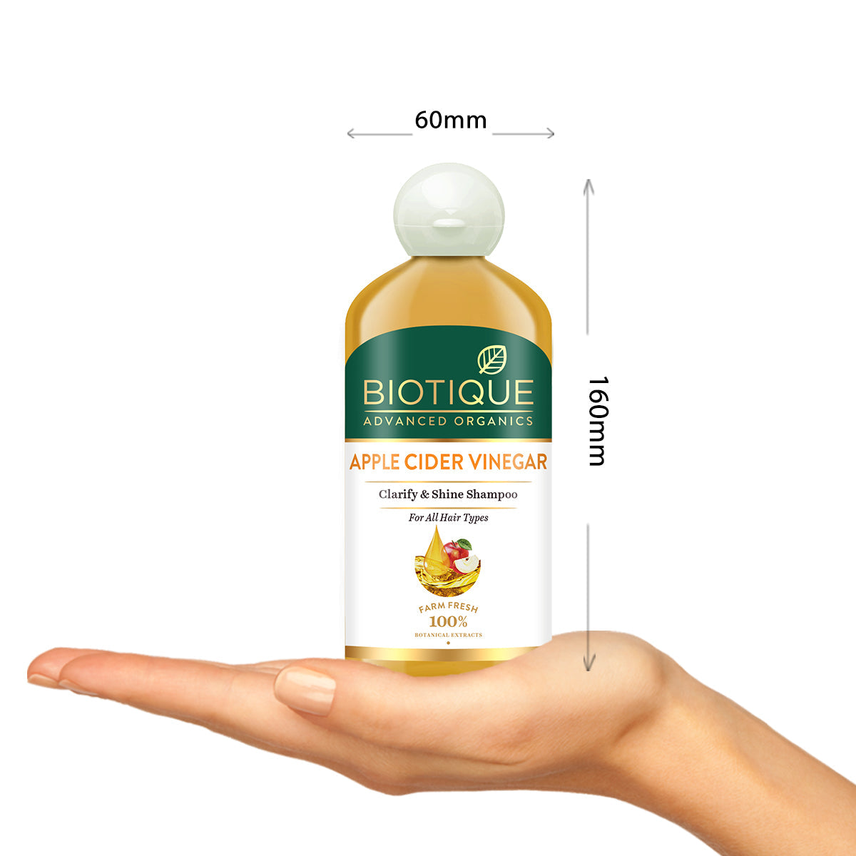 Biotique Apple Cider Vinegar Clarify & Shine Shampoo, 300ml - Image 3 - Buy from Indicrest