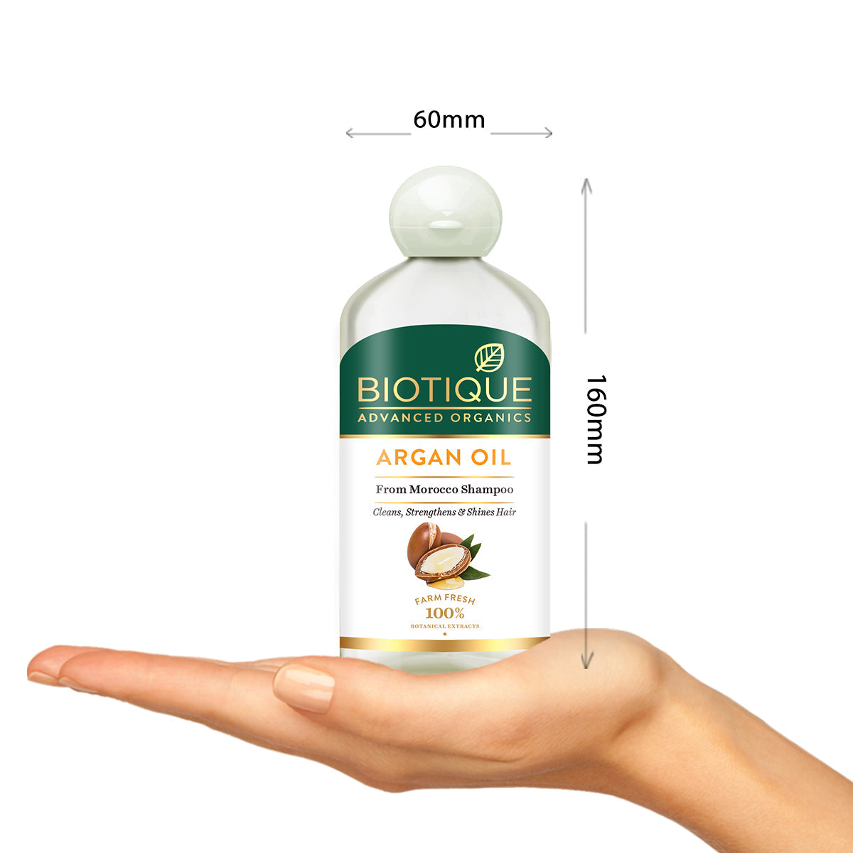 Biotique Argan oil from Morocco shampoo, 300ml - Image 4 - Buy from Indicrest