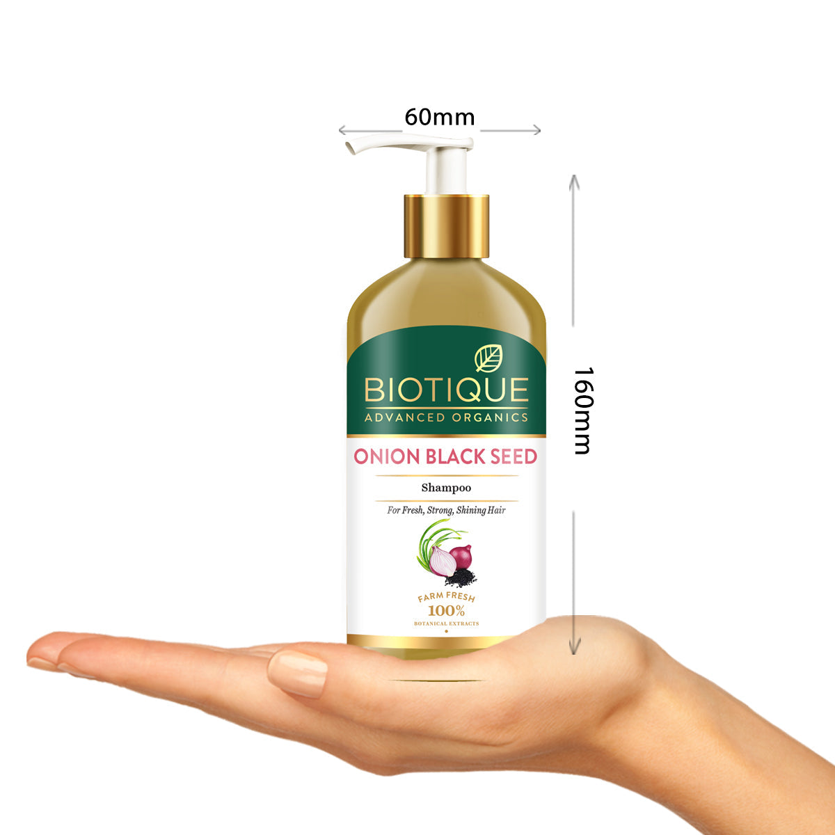 Biotique Onion black seed shampoo, 300ml - Image 3 - Buy from Indicrest