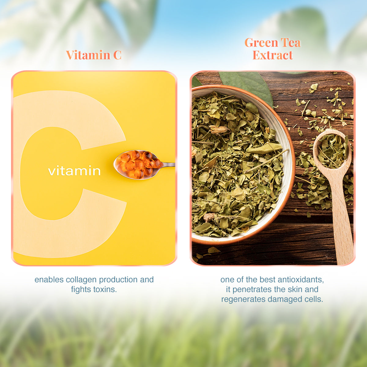 VLCC Vitamin C Day Cream SPF 30 - 50 g - Image 4 - Buy from Indicrest